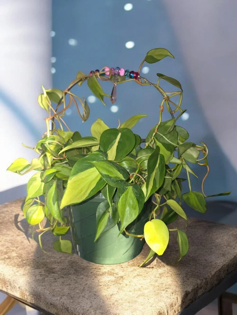 Handmade Plant Trellis.